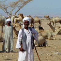 Coffee Customs in Eastern Sudan and Egypt: The Beja Tribes and a Recipe