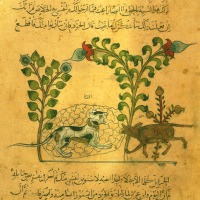 The Case for Cats in Islam and A Medieval Cat Poem from Cairo