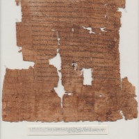 Crocodile Cartonnage and Classical Manuscripts - Tebtunis, Fayum-Egypt