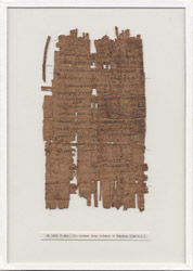 An example of retrieved anuscript; Menches, kômogrammateus. (village scribe) of Kerkeosiris. Source - Bancroft Library, UC Berkeley